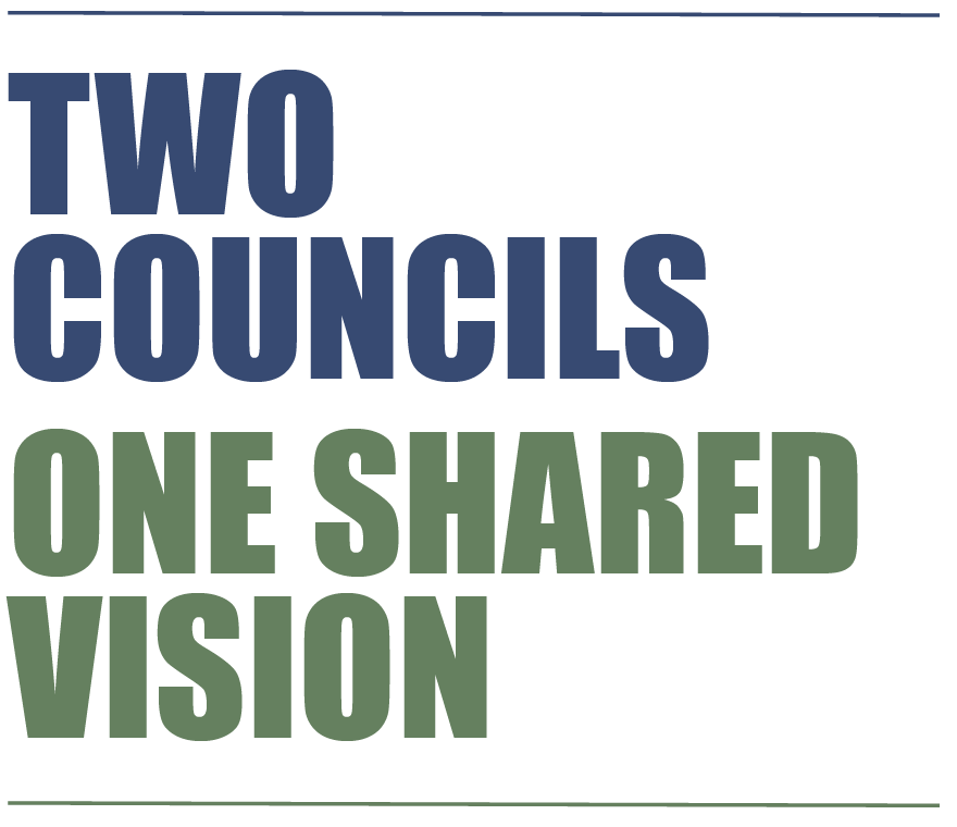 Two Councils One Shared Vision